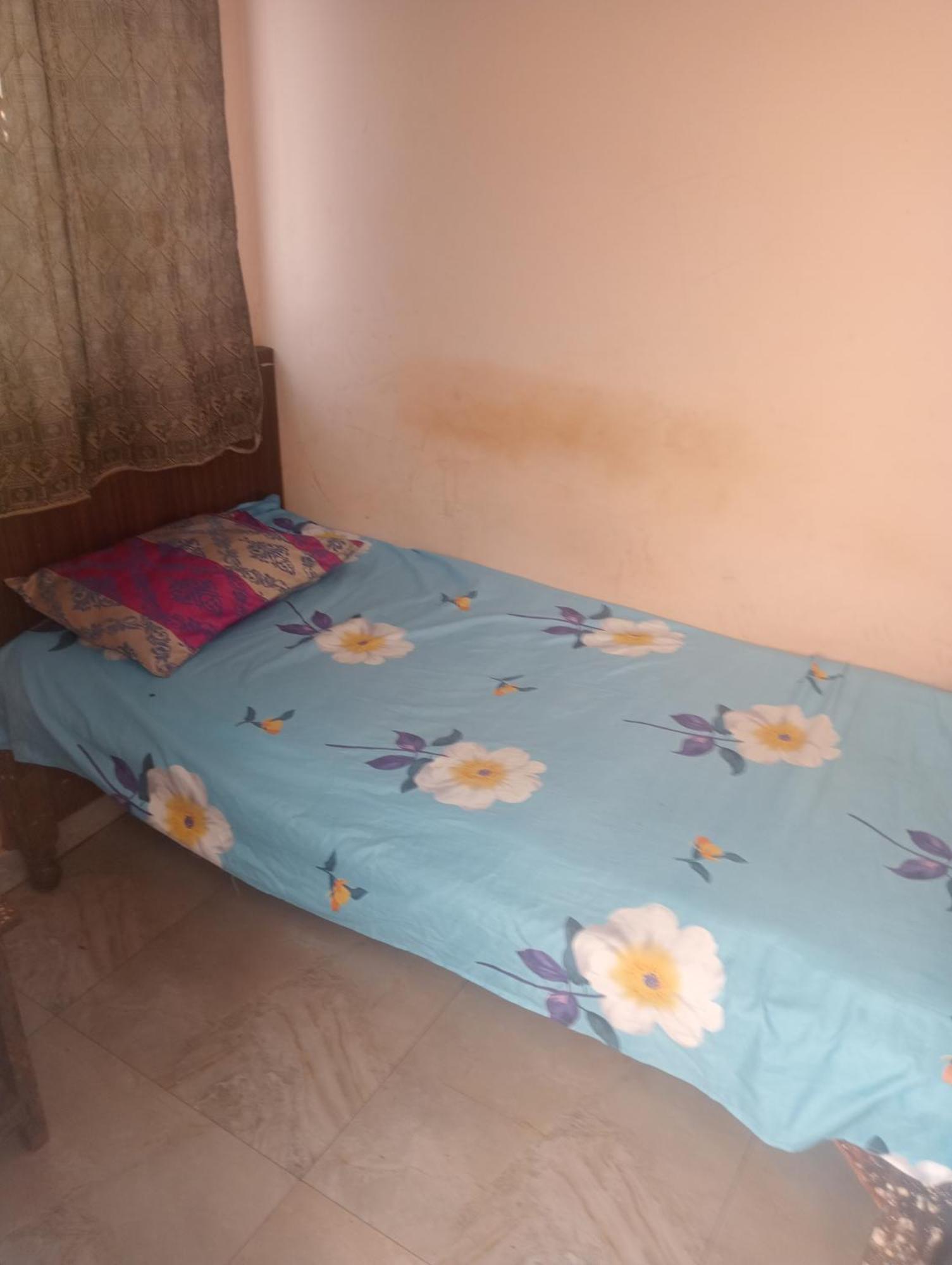 Ever Green Guest House Travel & Pg New Delhi Ngoại thất bức ảnh
