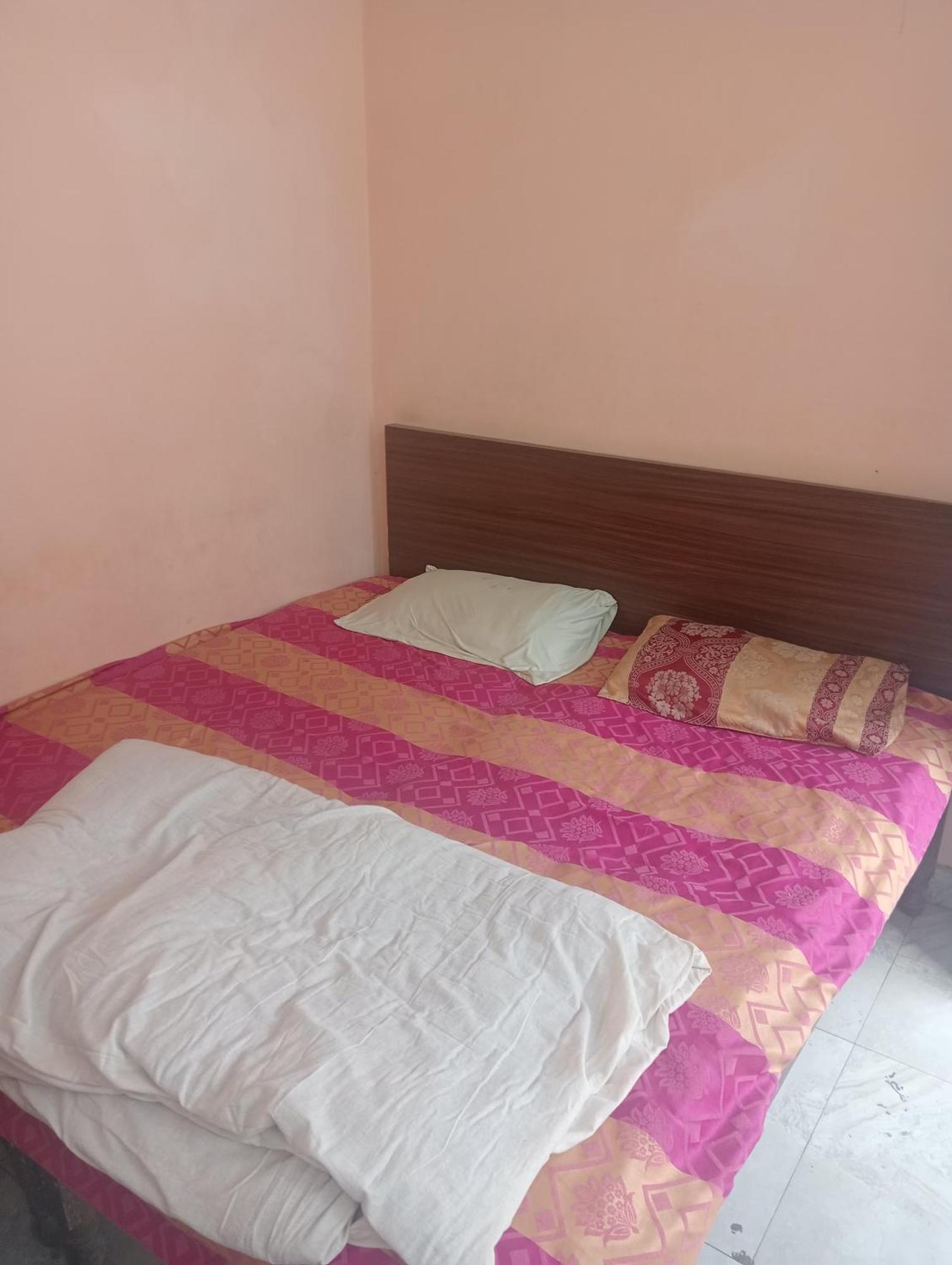 Ever Green Guest House Travel & Pg New Delhi Ngoại thất bức ảnh