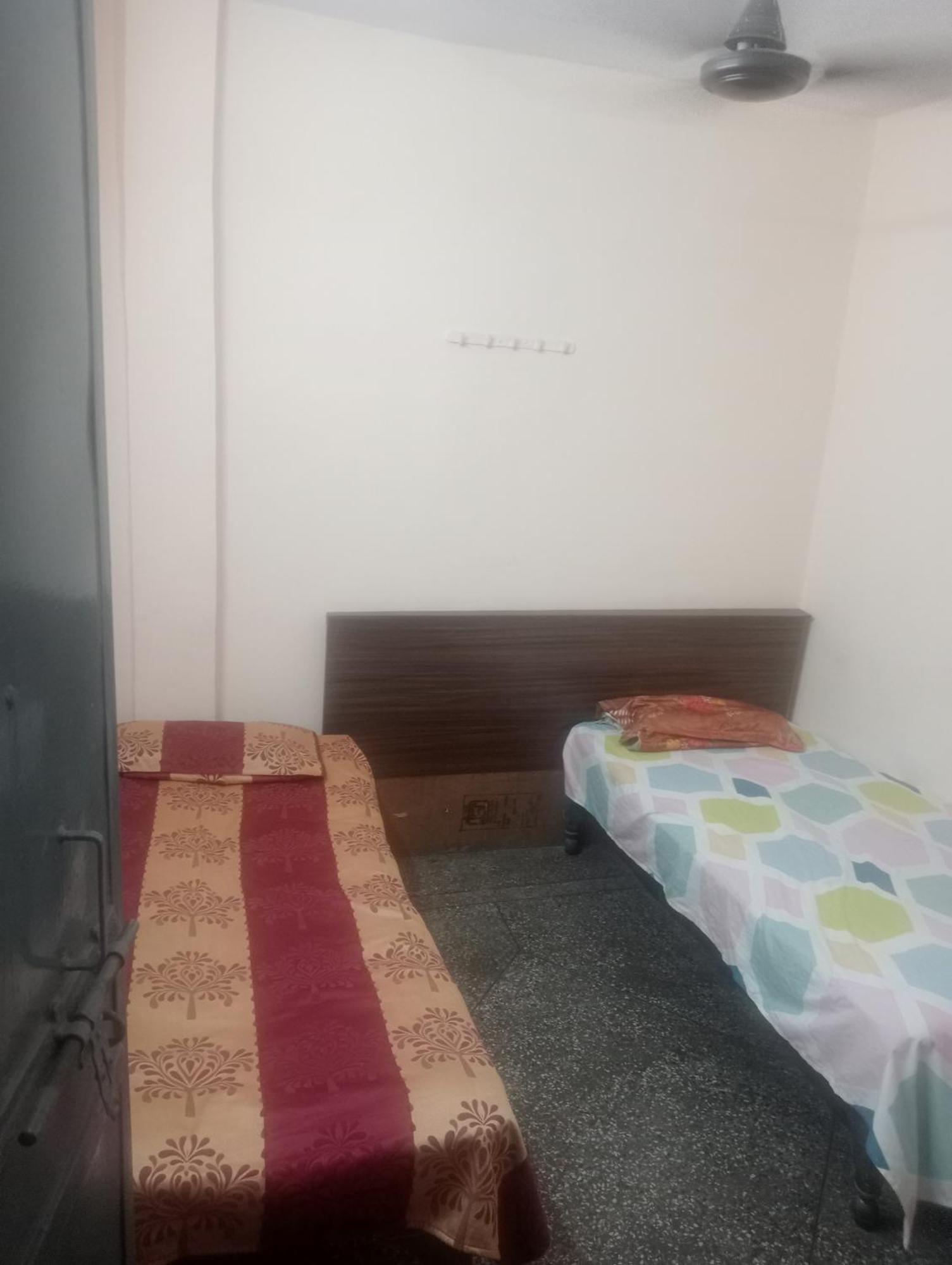 Ever Green Guest House Travel & Pg New Delhi Ngoại thất bức ảnh
